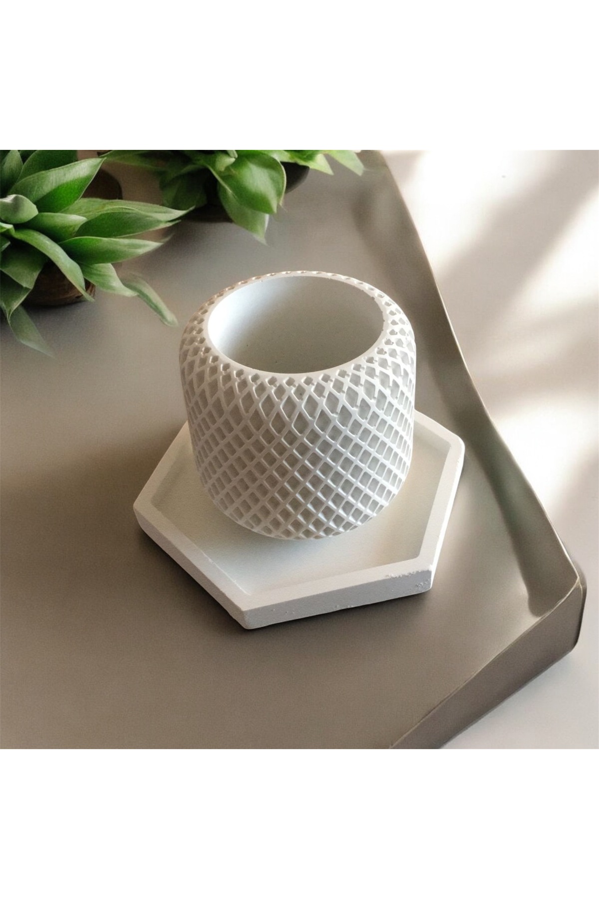 Tabaklı Sukulent Saksısı (Özel Üretim)